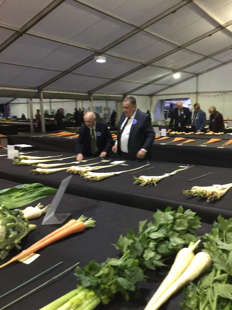 David Forrester judging NVS Branch Show